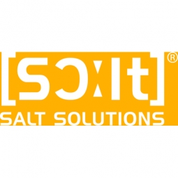 SALT Software Logo